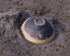 FileNo.142-052.jpg