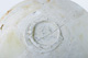 FileNo.142-091.jpg