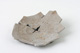 FileNo.140-008.jpg