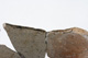FileNo.140-042.jpg
