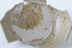 FileNo.140-045.jpg