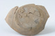 FileNo.140-050.jpg