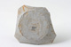 FileNo.140-052.jpg
