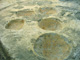 FileNo.140-081.jpg