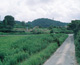 FileNo.143-001.jpg