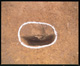 FileNo.143-008.jpg