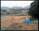 FileNo.143-019.jpg