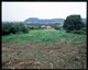 FileNo.143-021.jpg