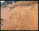 FileNo.143-038.jpg