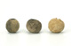 FileNo.143-070.jpg