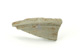 FileNo.143-072.jpg