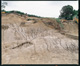 FileNo.149-004.jpg