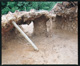 FileNo.149-011.jpg