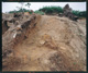 FileNo.149-012.jpg