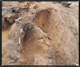 FileNo.149-016.jpg