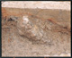 FileNo.149-020.jpg