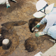 FileNo.155-003.jpg