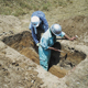 FileNo.155-004.jpg