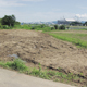 FileNo.155-006.jpg