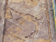 FileNo.155-017.jpg