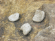 FileNo.155-020.jpg