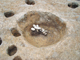 FileNo.155-021.jpg
