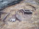FileNo.155-022.jpg