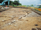 FileNo.155-027.jpg