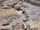 FileNo.155-029.jpg
