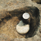 FileNo.155-031.jpg