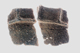 FileNo.155-035.jpg