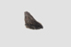 FileNo.155-036.jpg
