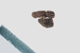 FileNo.155-039.jpg