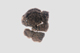 FileNo.155-040.jpg
