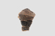 FileNo.155-043.jpg