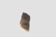 FileNo.155-044.jpg