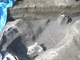 FileNo.156-026.jpg