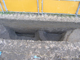 FileNo.156-042.jpg