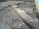 FileNo.156-053.jpg