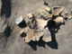 FileNo.156-057.jpg