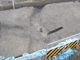 FileNo.156-058.jpg