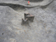 FileNo.156-060.jpg
