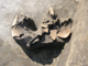 FileNo.156-061.jpg