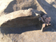 FileNo.156-071.jpg