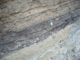FileNo.156-081.jpg