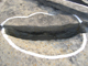 FileNo.156-088.jpg