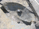 FileNo.156-089.jpg