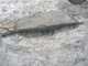 FileNo.156-090.jpg