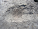 FileNo.156-091.jpg