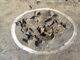 FileNo.156-094.jpg